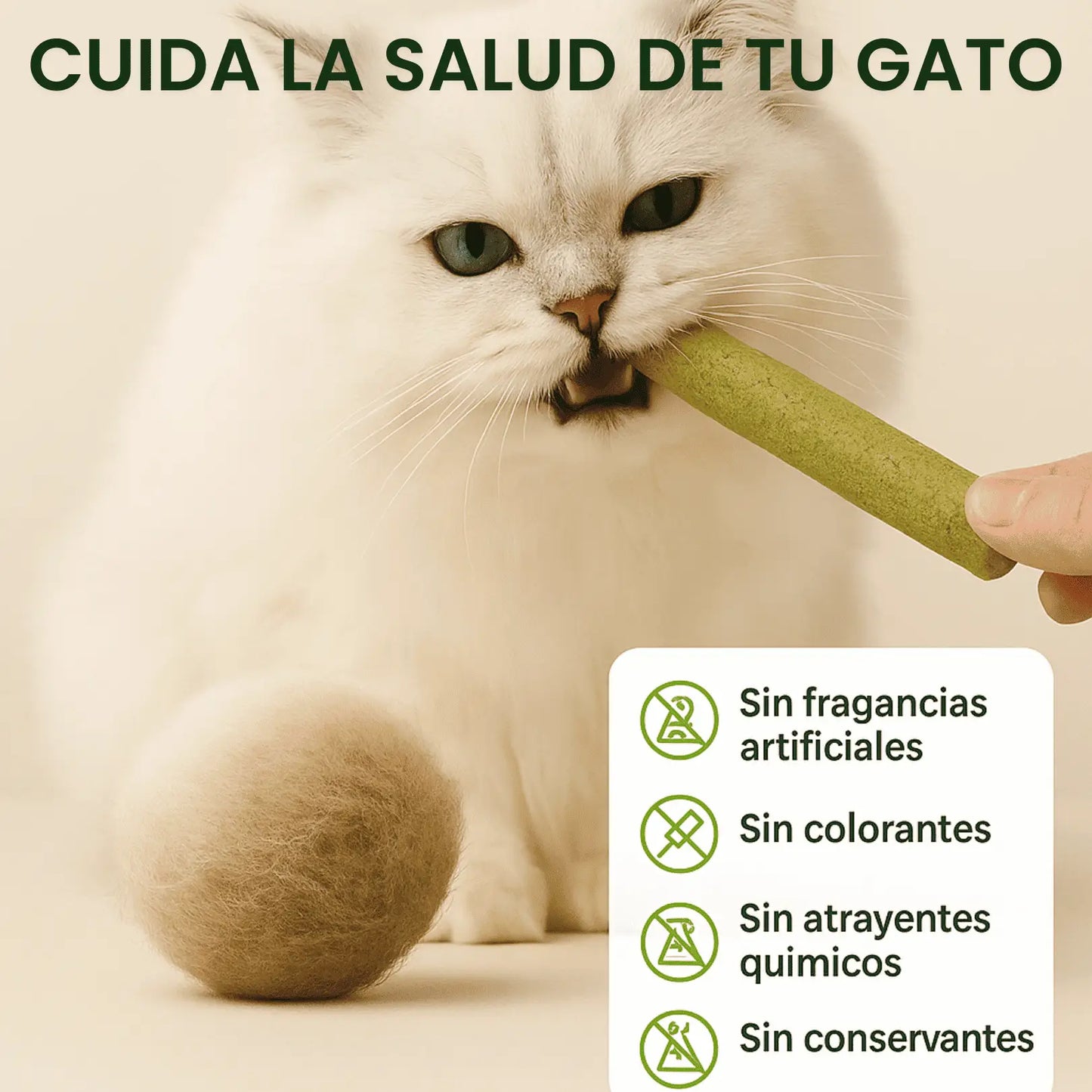 Cat Grass – Snack Antiestrés y Saludable para Gatos