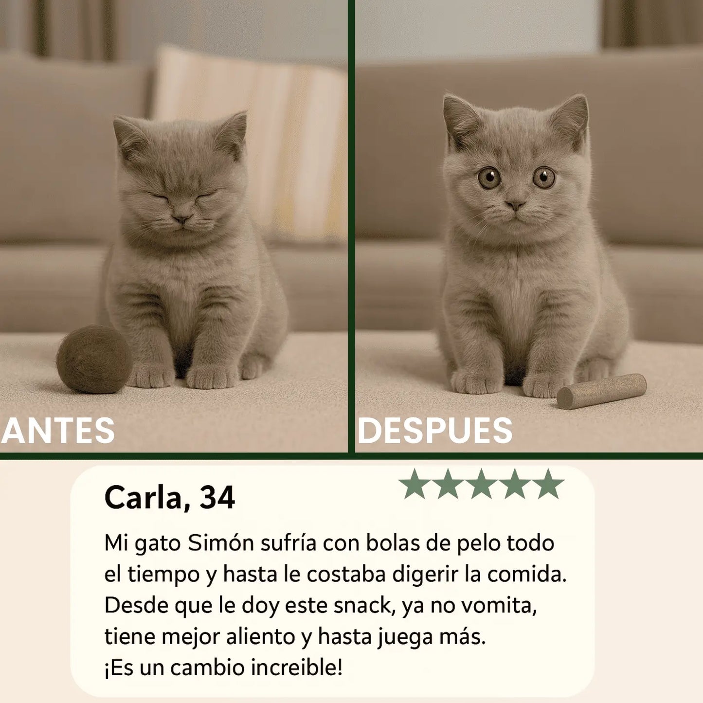 Cat Grass – Snack Antiestrés y Saludable para Gatos