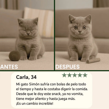 Cat Grass – Snack Antiestrés y Saludable para Gatos